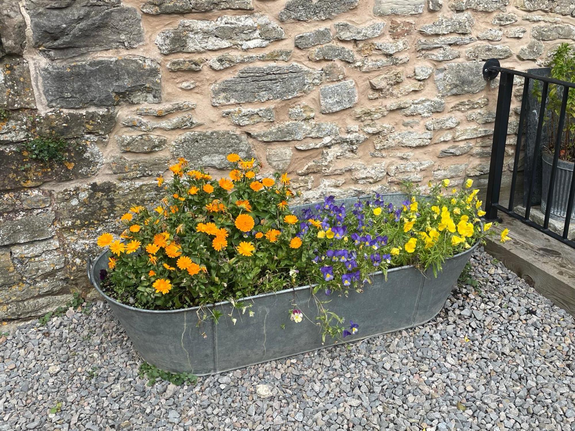 Acorn Cottage Ross-on-Wye エクステリア 写真
